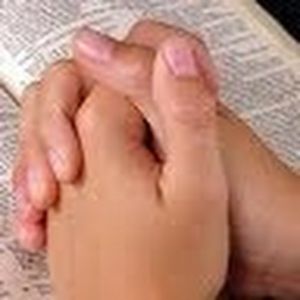 Meet your Posher, Judy